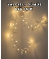 YAPRAK LED IŞIK