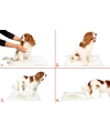 Yıkanabilir Köpek Çiş Pedi - 90 X 60 Cm 5li Paket