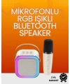 Yüksek Performanslı Kablosuz Karaoke Hoparlör