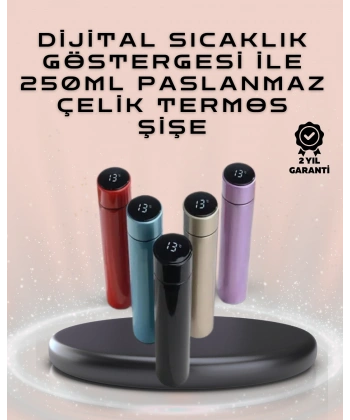 250ml LED Ekranlı Paslanmaz Çelik Akıllı Termos