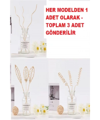 3 Tek Adet 3 Model Aromaterapi Koku Dağıtıcı Rattan Şişe Ahşap Difüzör Çubuk (Spiral-Yaprak-Dalgalı)