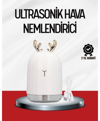 El Tipi USB Mini Soğuk Mist Nemlendirici 220 ml Tank