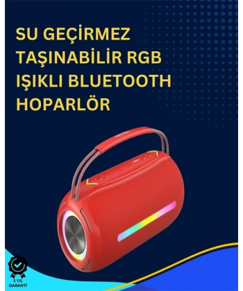 USB/SD/AUX Girişli Hoparlör – 10 W × 2 Çift Sürücü