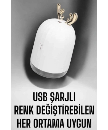 Aromaterapi Hava Temizleyici Buhar Makinesi Taşınabilir Şarjlı