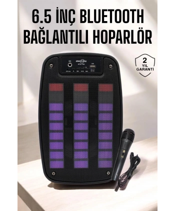 Bluetooth Hoparlör RGB Işıklı USB SD Kart Girişli Taşınabilir