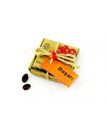 Dilek Tohumları - Başarı