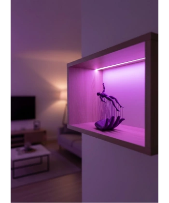 EL İNSAN FİGÜRÜ MOR