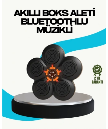 Ev Tipi Akıllı Boks Duvar Paneli Müzikli Bluetoothlu Refleks Geliştirme Cihazı