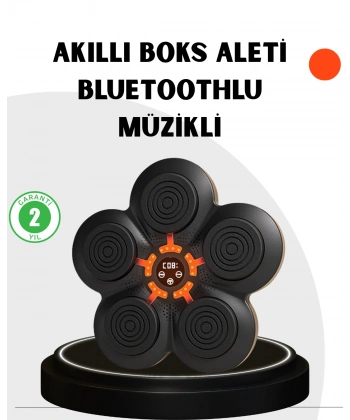 Evde Fitness İçin Akıllı Boks Makinesi Işıklı Vuruş Noktalı Bluetoothlu