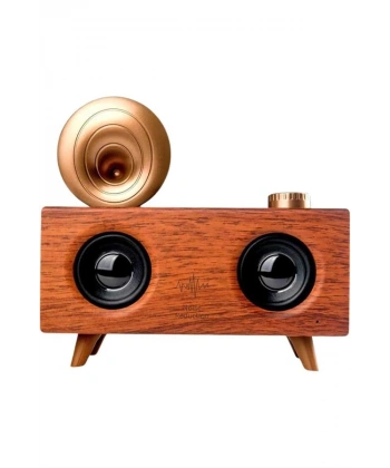 Gramafon Nostaljik Radyo Yüksek Ses Kalitesi USB TF Kart Aux