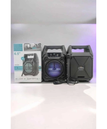 Kablosuz 6.5 İnç TWS Bluetooth Hoparlör