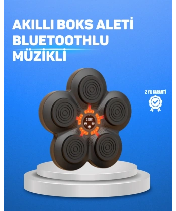 Müzikli Boks Duvar Paneli Akıllı Işık Sistemli Refleks ve Kondisyon Aleti