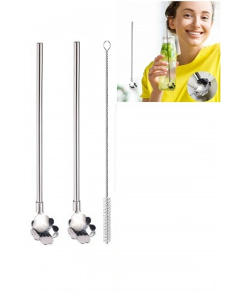 Paslanmaz Metal 2 li Kaşıklı Pipet Fırça Seti