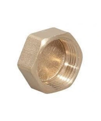 Sarı Manşon Körtapa 1