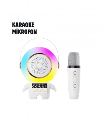 TK-66 KARAOKE SPEAKER