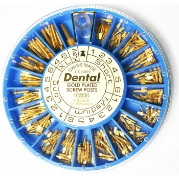 Gold & Çelik Screw Post Pivo Çivisi – 120’li Set