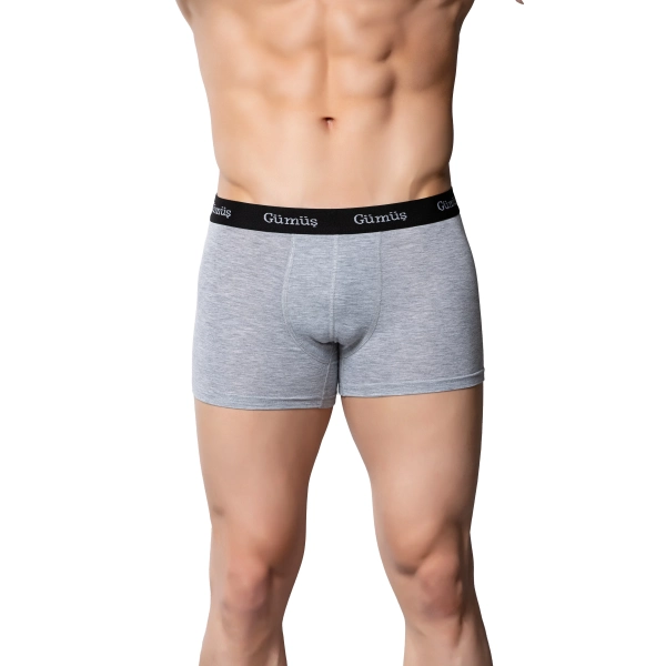 Gümüş 3074 Likralı Düz Vücudu Saran Erkek Boxer Gri 6 lı Paket