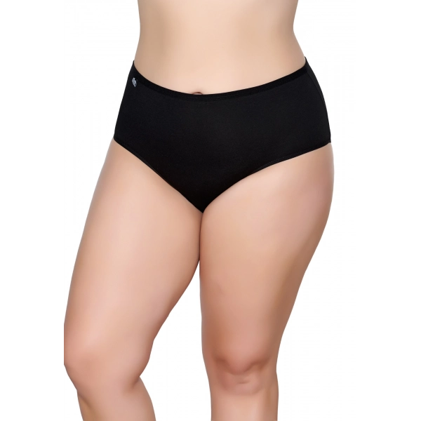 Gümüş Elastan Klasik İnce Bel Kadın Bato Külot Siyah 3 lü Paket