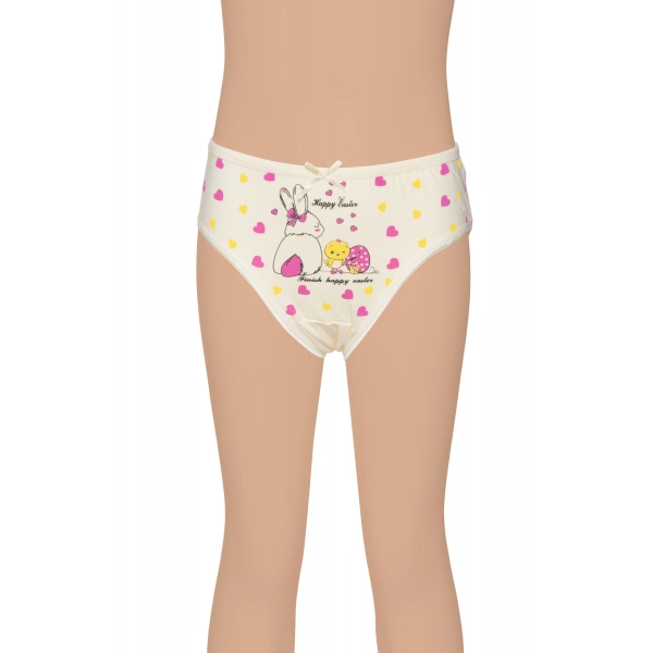 Gümüş Kız Renkli Baskılı Slip Külot