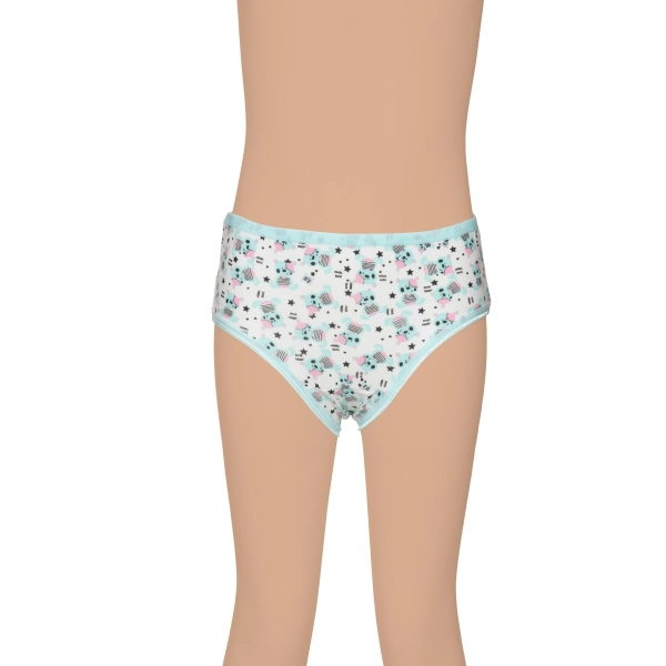 Gümüş Kız Renkli Empirme Desenli Slip Külot