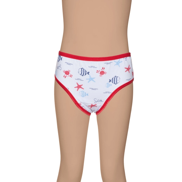 Gümüş Kız Renkli Empirme Desenli Slip Külot