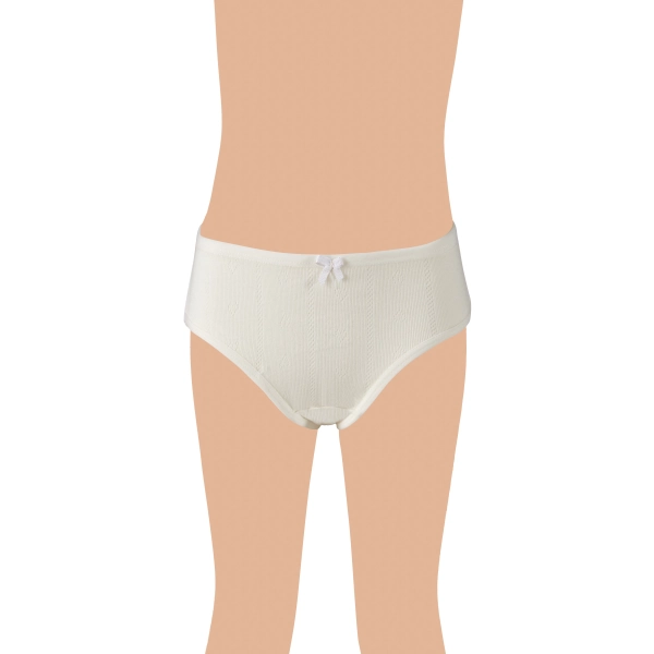 Gümüş Kız Renkli Jakarlı (Kalp Desen) Slip Külot