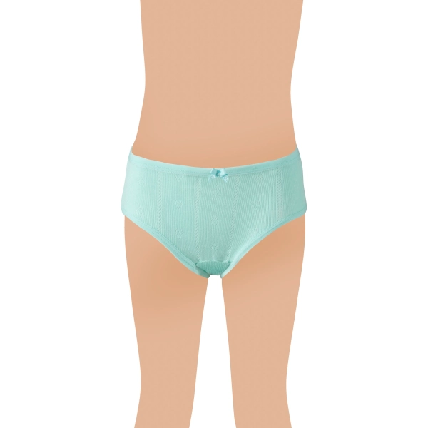 Gümüş Kız Renkli Jakarlı (Kalp Desen) Slip Külot 6 lı Paket