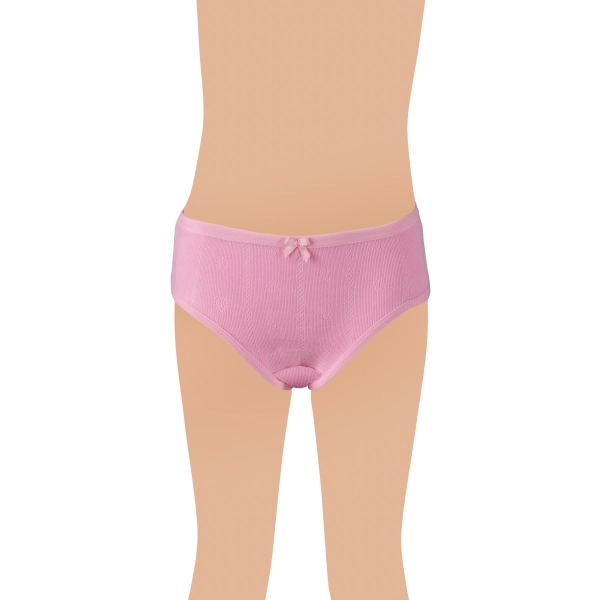 Gümüş Kız Renkli Jakarlı (Kalp Desen) Slip Külot