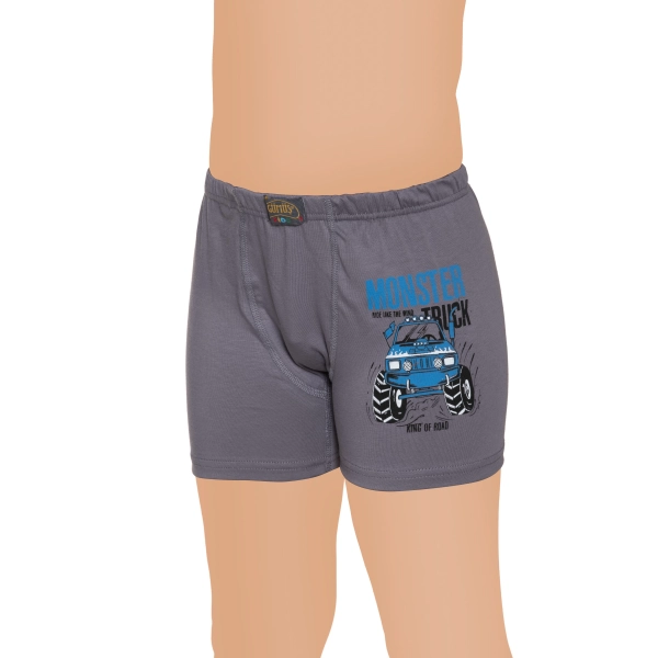 Gümüş Likralı Vücudu Saran Lastikli Baskılı Çocuk Boxer 3 lü Paket