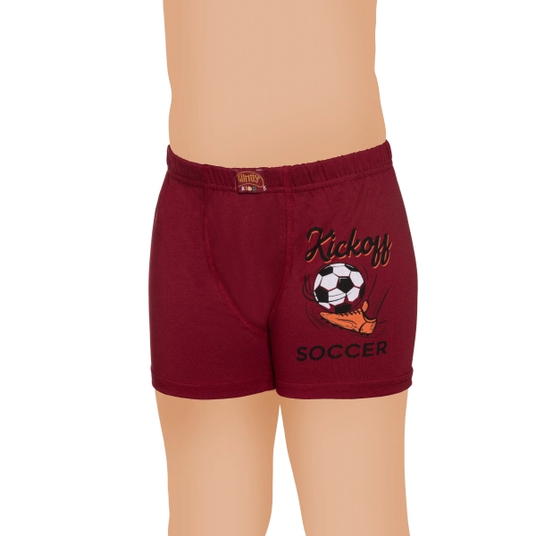 Gümüş Likralı Vücudu Saran Lastikli Baskılı Çocuk Boxer 6 lı Paket