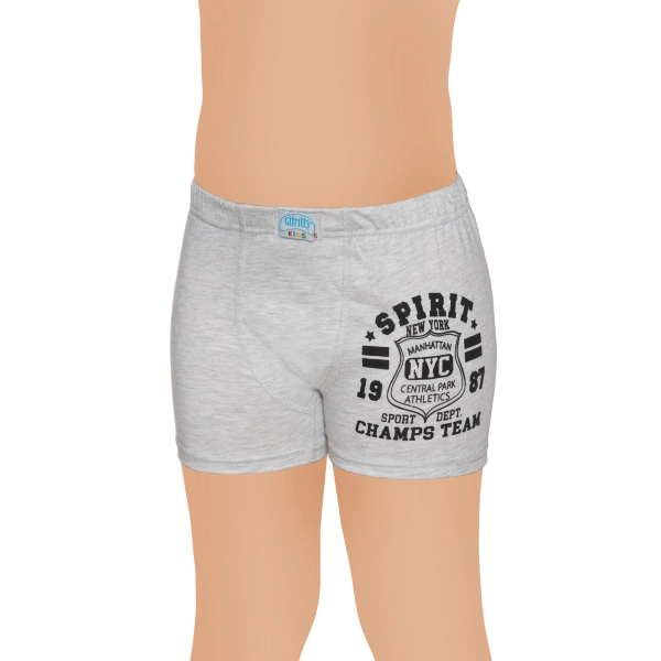 Gümüş Likralı Vücudu Saran Lastikli Baskılı Çocuk Boxer 6 lı Paket