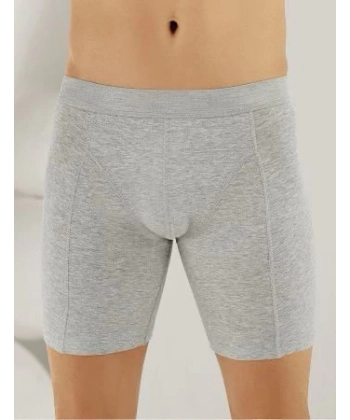 Doğan Yıldız 2832 Likralı Vücudu Saran Uzun Boxer Gri