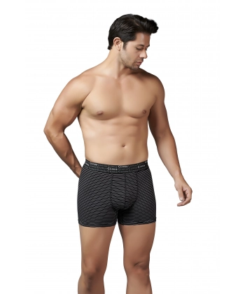 Gümüş 3114 Likralı Çizgili Erkek Boxer