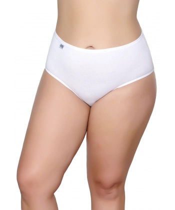 Gümüş Elastan Klasik İnce Bel Kadın Bato Külot Beyaz 6 lı Paket