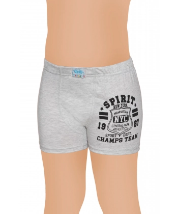 Gümüş Likralı Vücudu Saran Lastikli Baskılı Çocuk Boxer 6 lı Paket