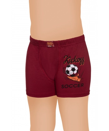 Gümüş Likralı Vücudu Saran Lastikli Baskılı Çocuk Boxer