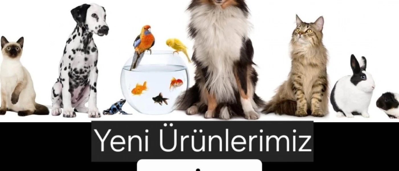 manşet2
