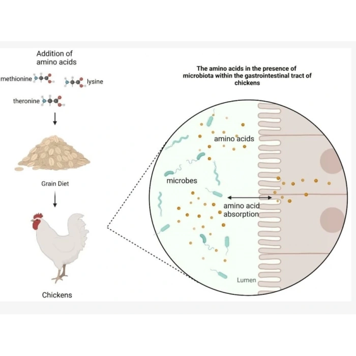 Nutrimix-Güçlü Gelişim -Amino asit -Kurumayı iyileştirir- antibiyotiksiz üretime destek vitamin -100ml