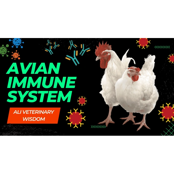 Se+Vit E, Vitamin - Üreme artışı ve Bağışıklık artırıcı Antioksidan vitamin 100ml