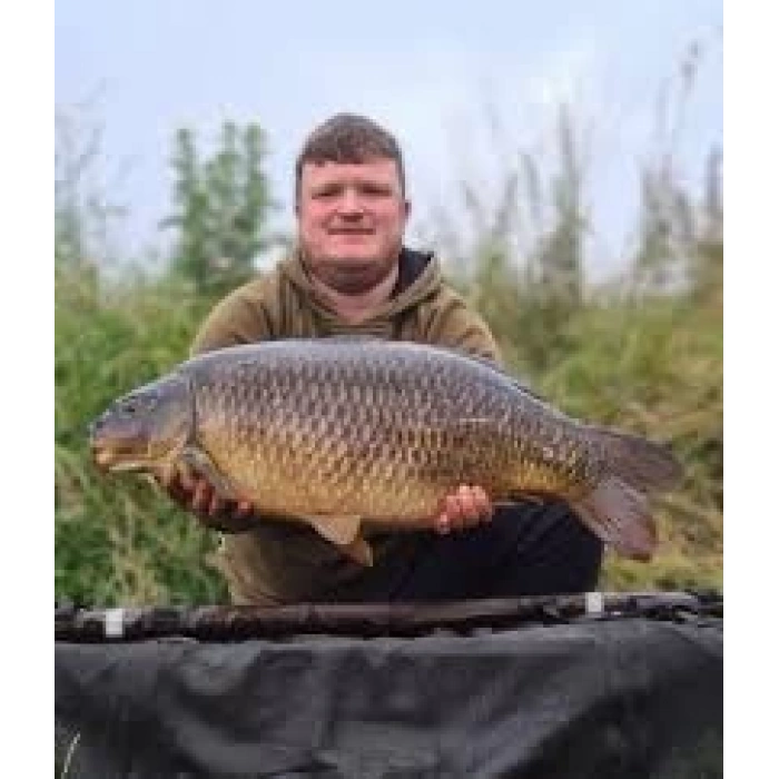 Bütirik asit - Butyric acid Toz 1kg - Balık avcılığı, Balık Yemi