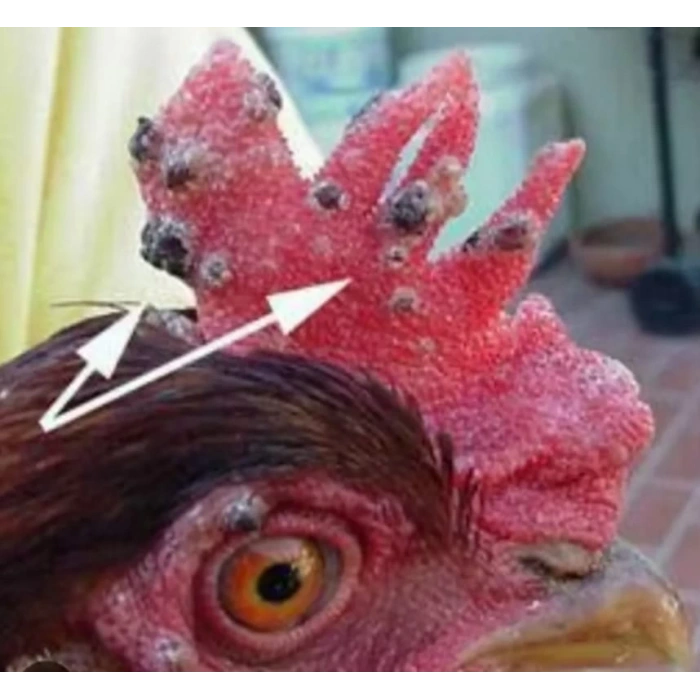 Çiçek Hastalığı Tedavisi için Doğal Antiseptik Sprey -  100ml