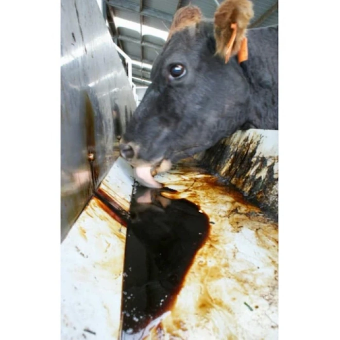 Melas- Pancar melası 10kg