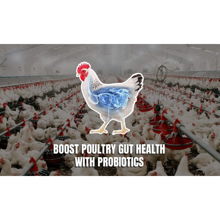 Probiyotik 50 gr - Toz - Yeme Katılır