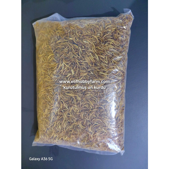 Un kurdu/ Kurutulmuş-100gr