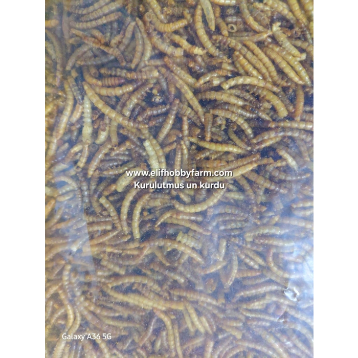 Un kurdu/ Kurutulmuş-100gr