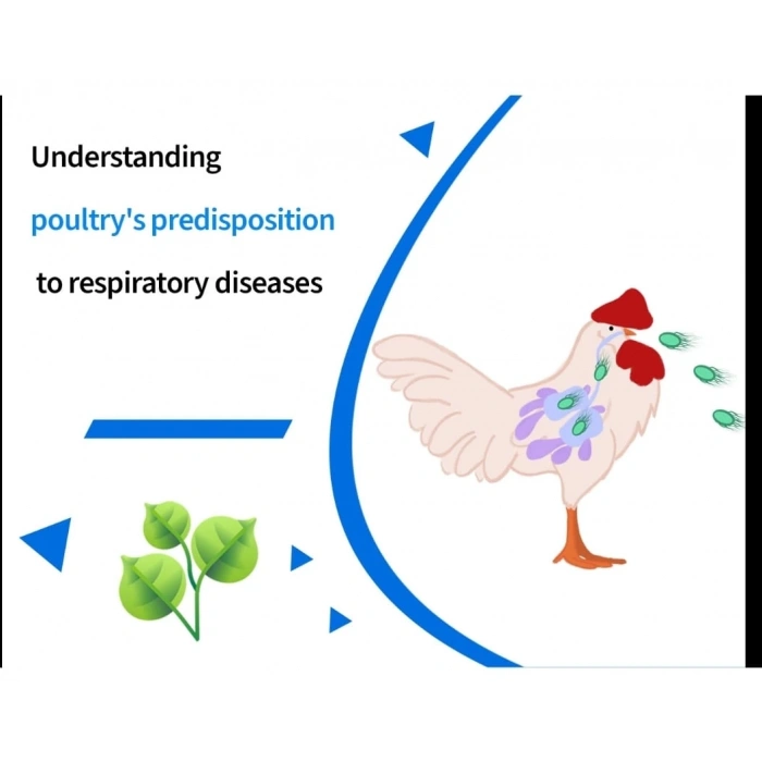 Nefes açıcı -Üst solunum rahatsızlıkları için , balgam söktürücü vitamin - 100ml