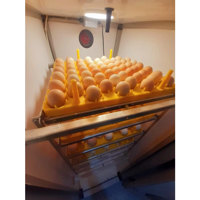 Yumurta Basım Hizmeti - Adet