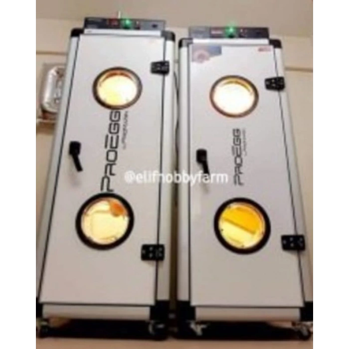 Yumurta Basım Hizmeti - Adet