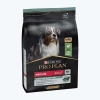 PROPLAN MEDİUM KUZU ETLİ KÖPEK MAMASI 10 KG