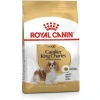 ROYAL CANIN CAVALİER KÖPEK MAMASI 3 KG